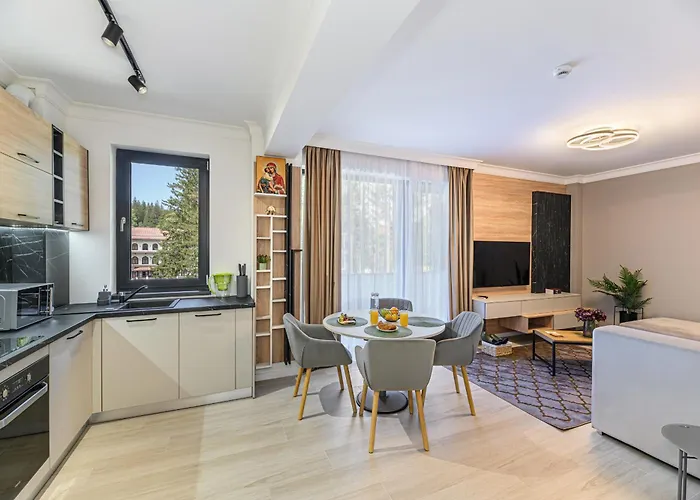 公寓 Poiana View *