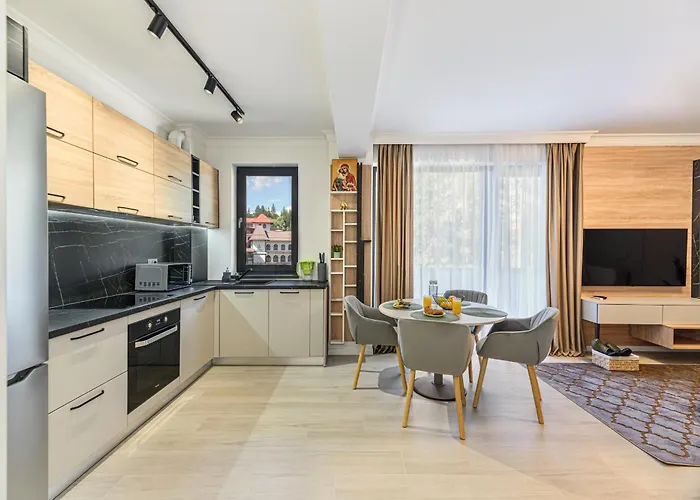 Poiana View 公寓 波亚纳布拉索夫