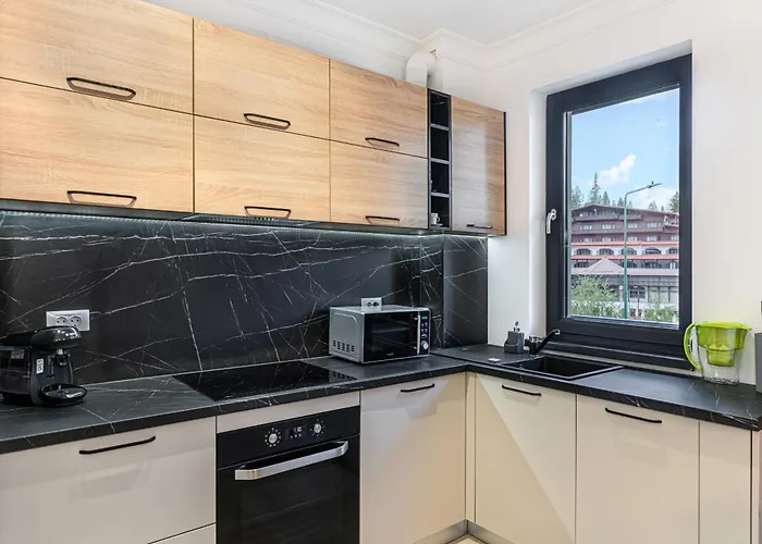 公寓 Poiana View 波亚纳布拉索夫