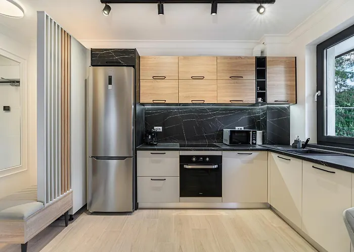 Poiana View * 波亚纳布拉索夫