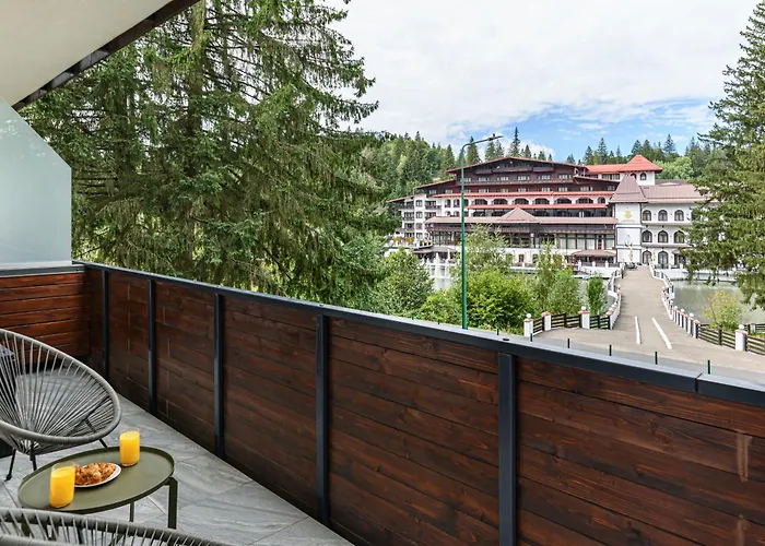 公寓 Poiana View *