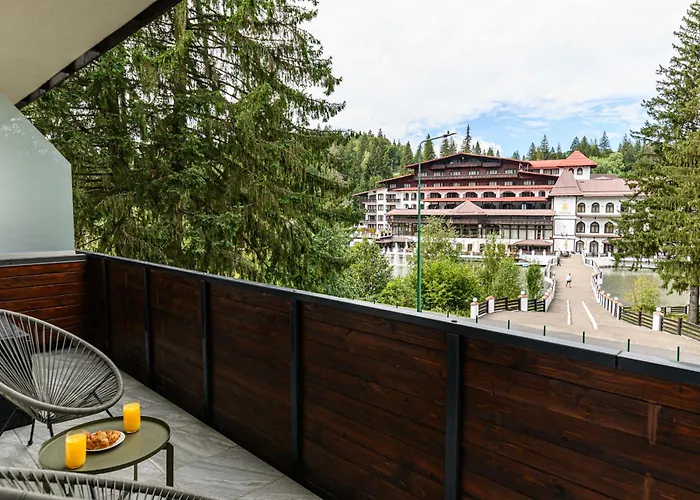 公寓 Poiana View *