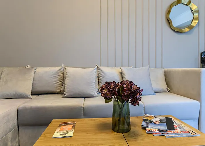 Poiana View 公寓 波亚纳布拉索夫