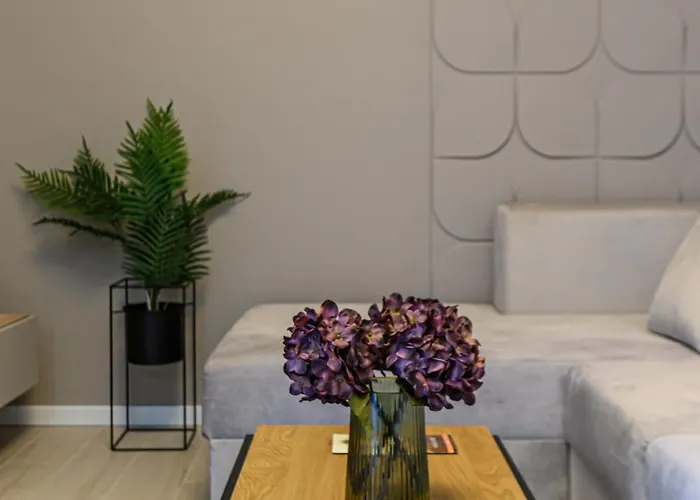 Poiana View 波亚纳布拉索夫