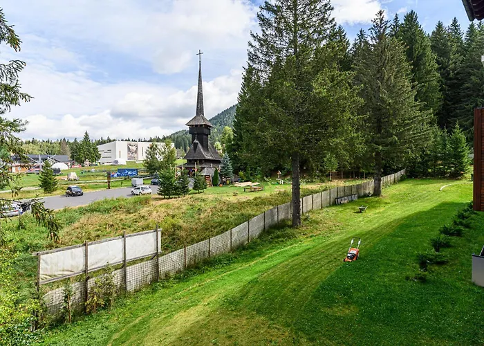 Poiana View * 波亚纳布拉索夫